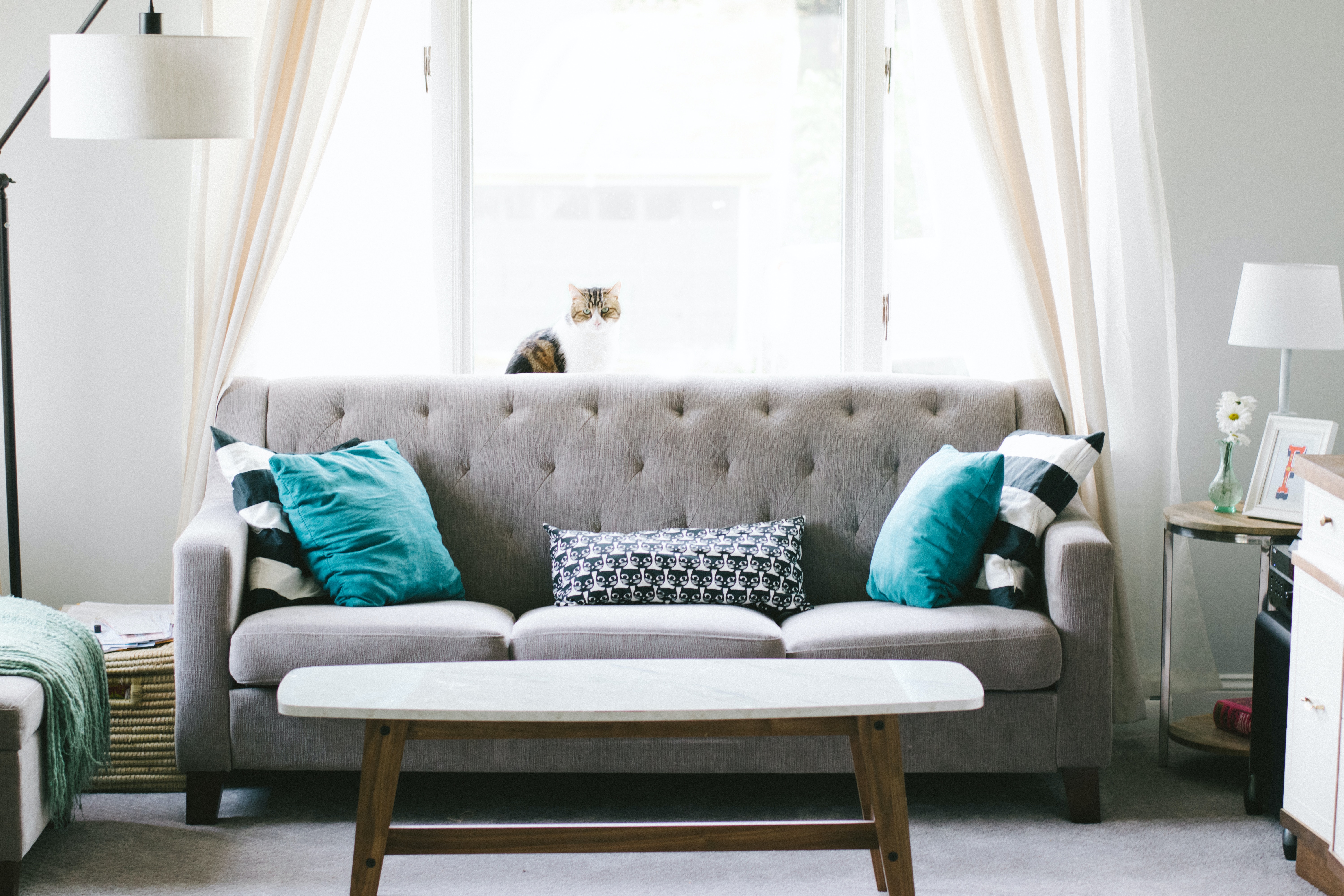 furniture2